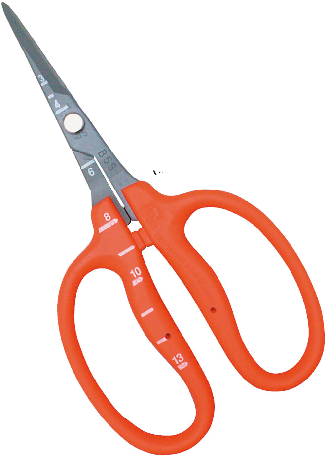 RALEADORA INOX CHIKAMASA1