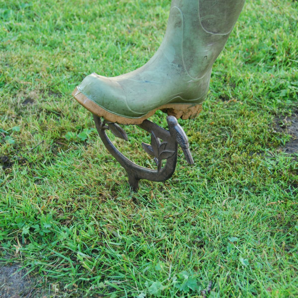 RASPADOR BOTAS PAJARO3