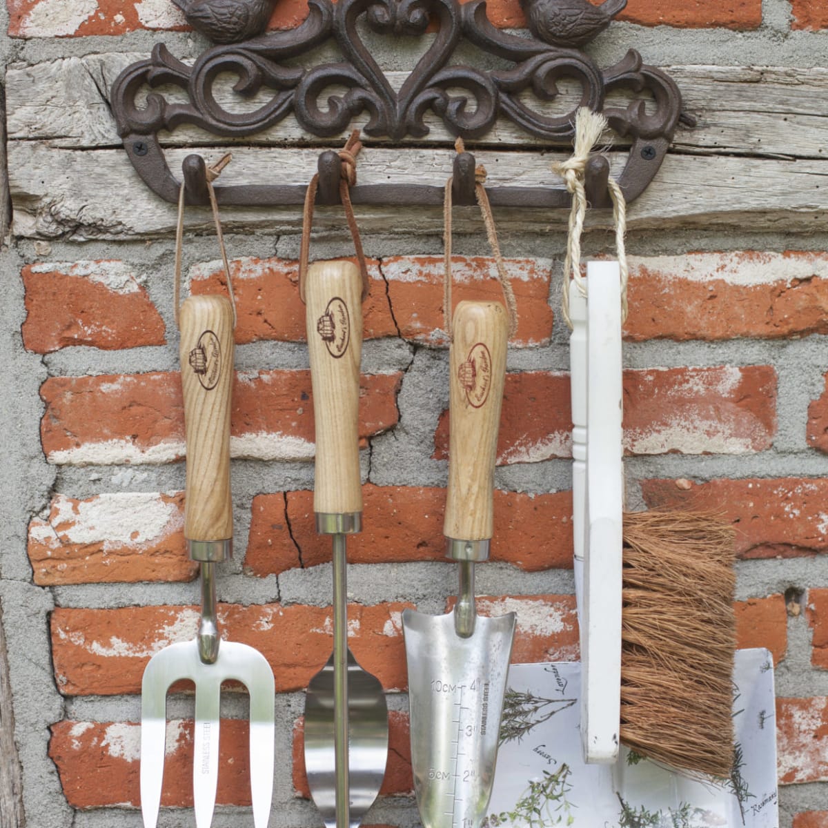 PERCHA PAJAROS EN CAJA2