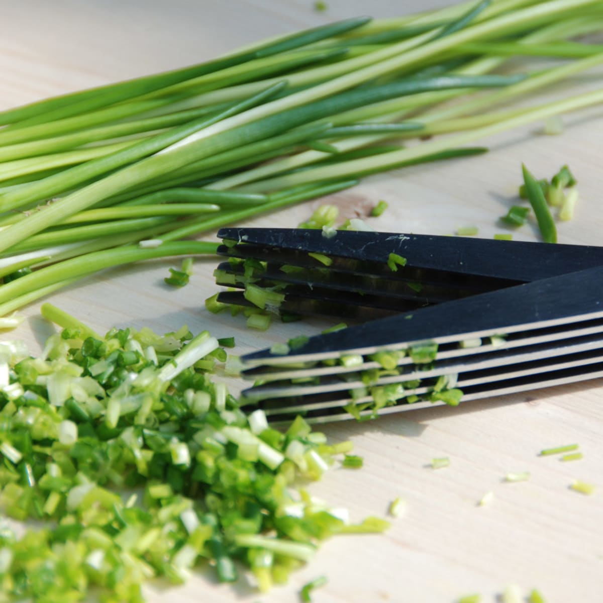 TIJERAS COCINA PARA HIERBAS3