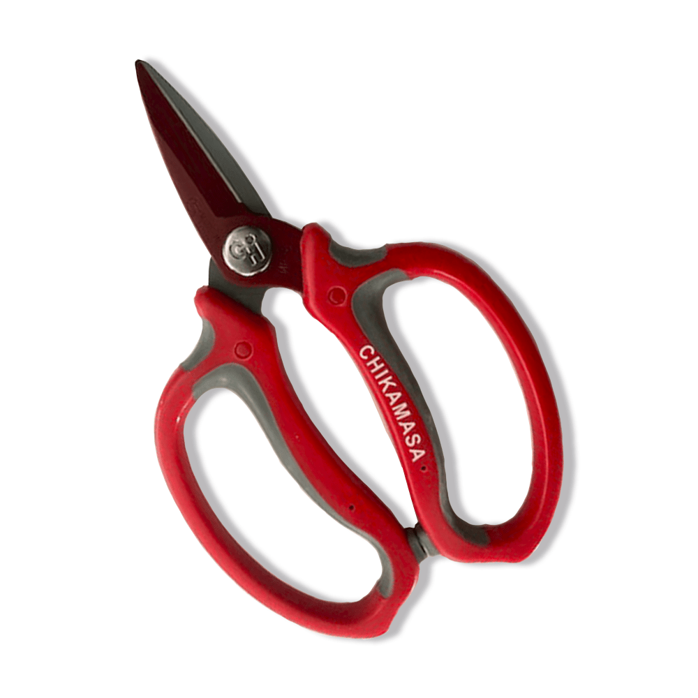 Chikamasa Tijera Florista1