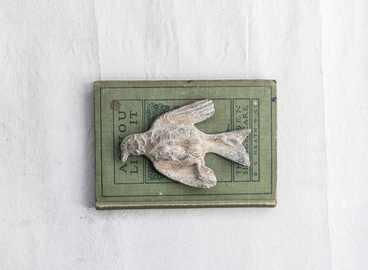 Figura pájaro2