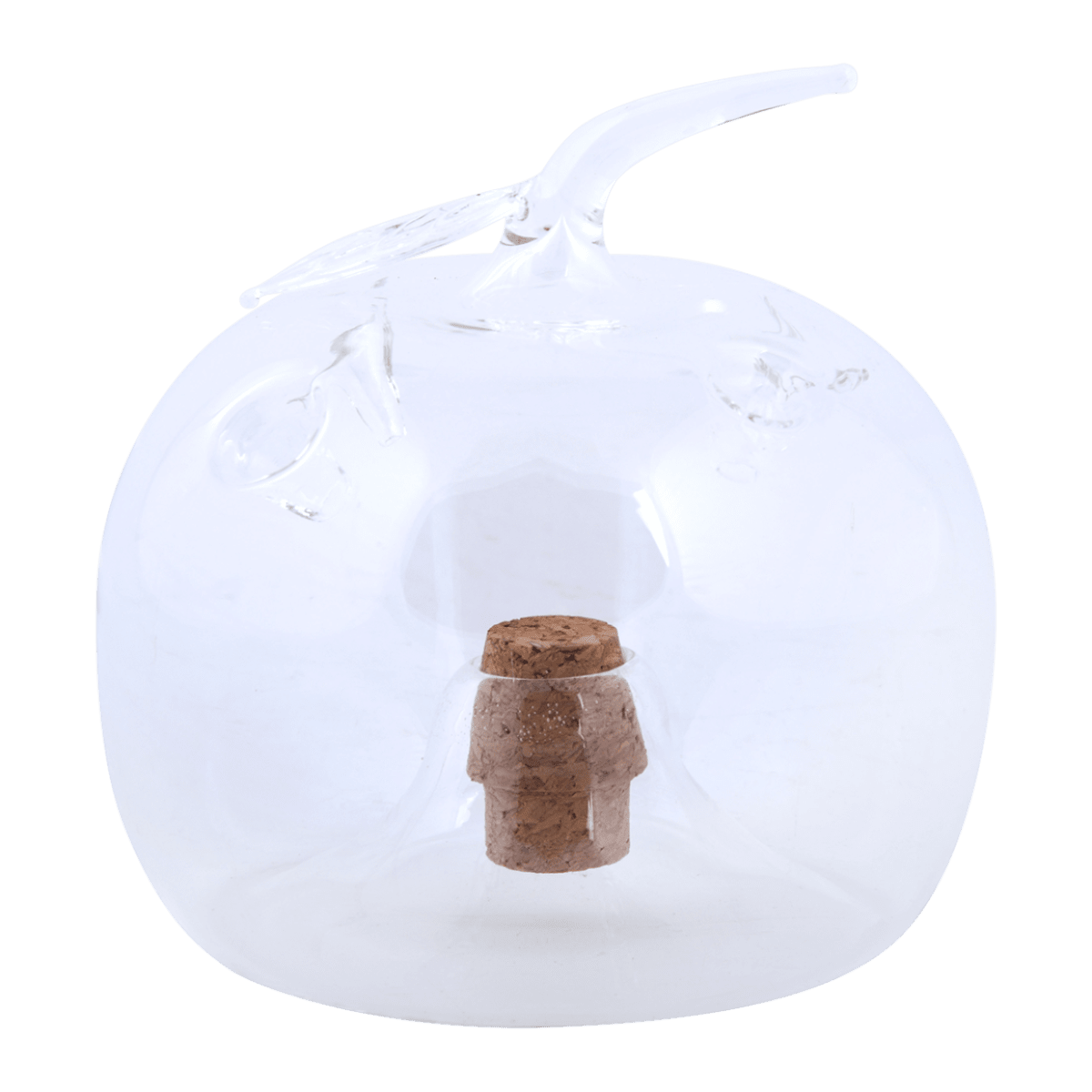 TRAMPA MOSCA VIDRIO1