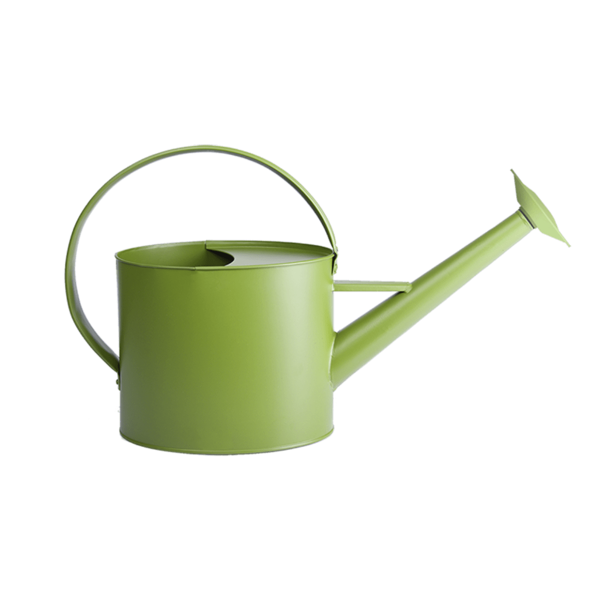 REGADERA TONOS VERDE3