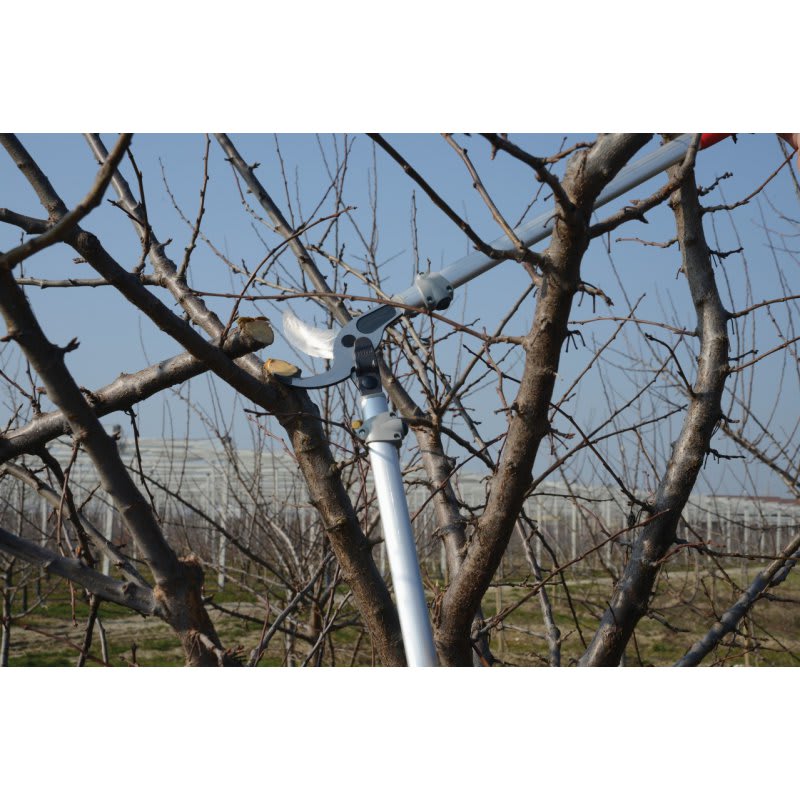 TIJERON DE PODA FELCO 220-80 CM BYPASS2