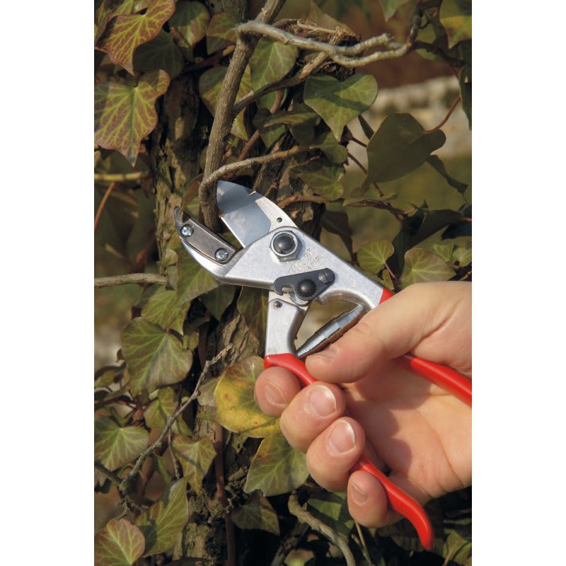 Felco 31 (Yunque Recto)3