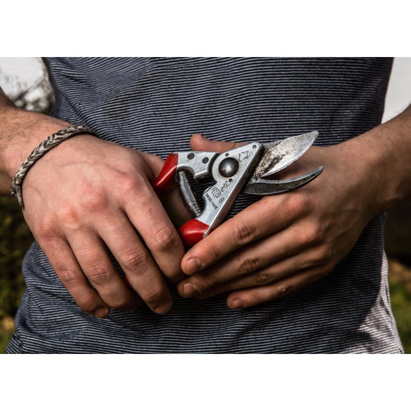 Felco 82