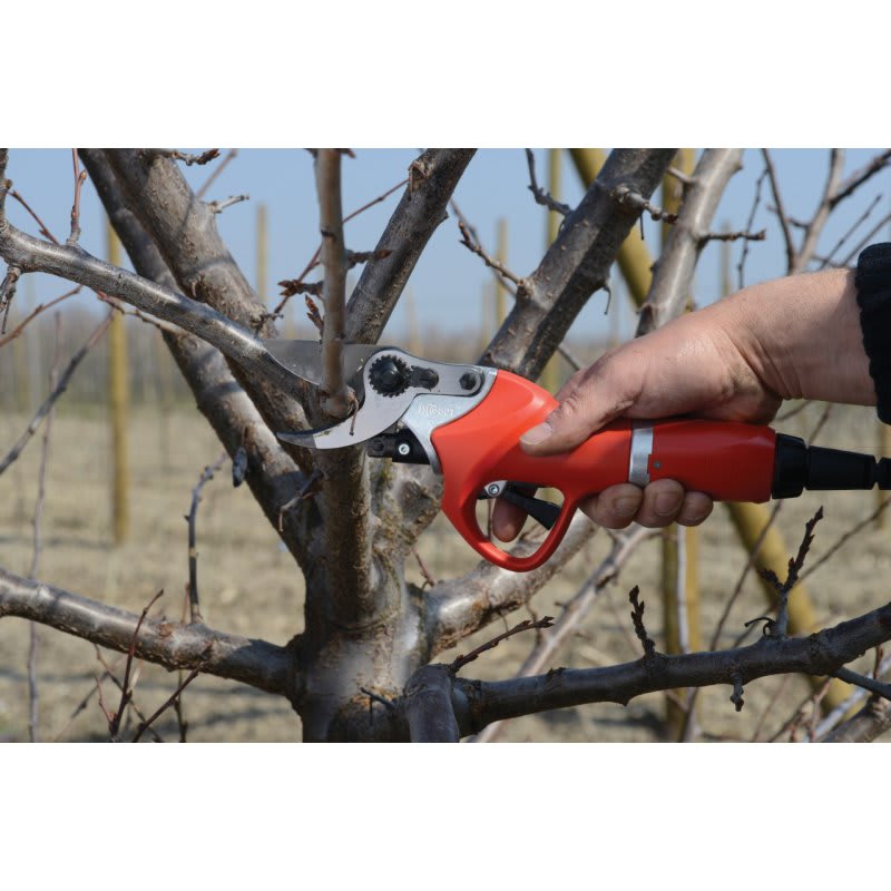 FELCOTRONIC 801 HP BATERIA SIMPLE2