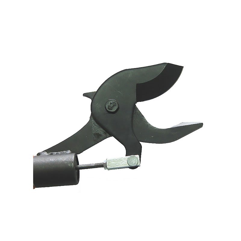 Tijerón de altura Futumaru (2m)2