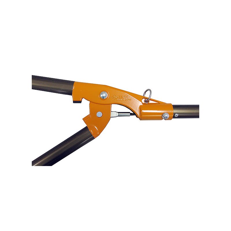 Tijerón de altura Futumaru (2m)3