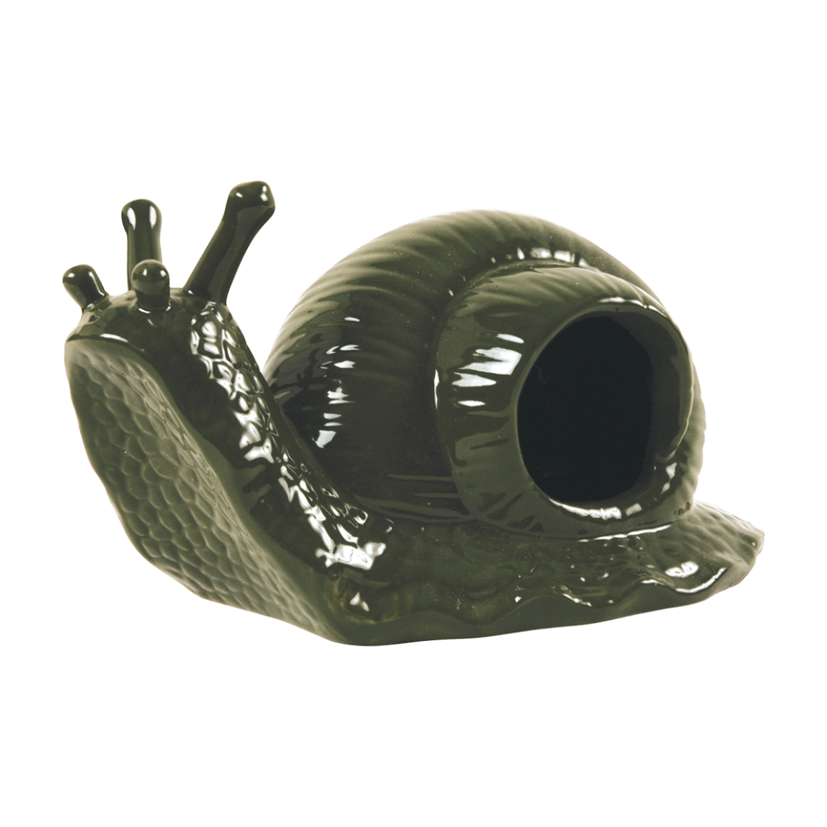 TRAMPA PARA CARACOLES1