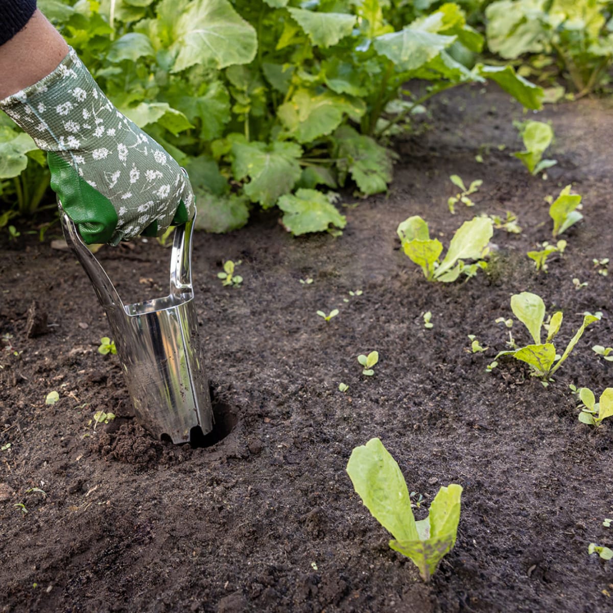MARCADOR DE BULBOS ACERO INOX3