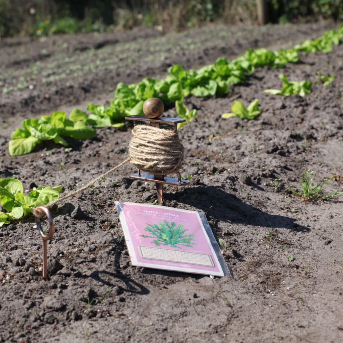 MARCADOR DE FILA COLOR COBRE4