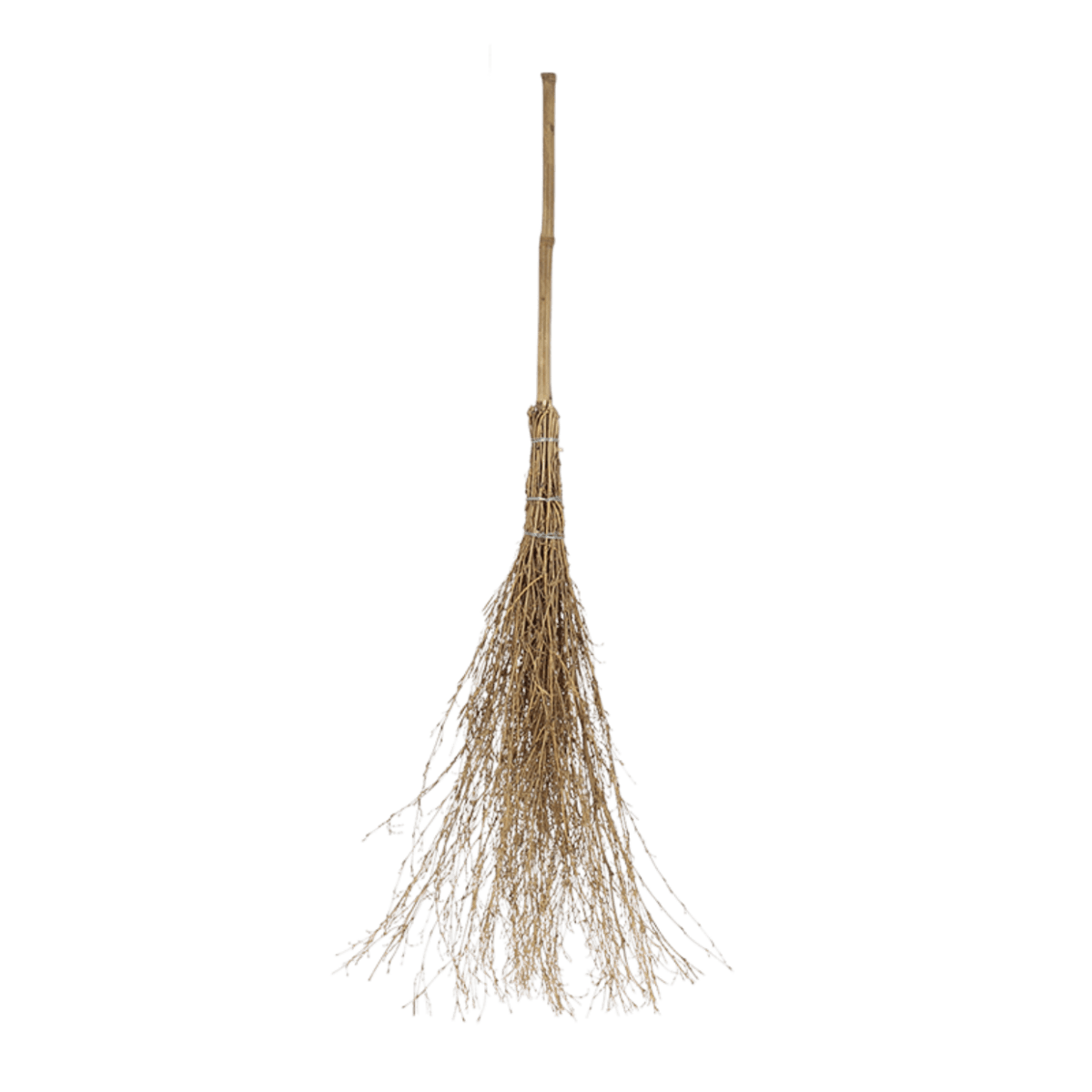 NIÑOS ESCOBA BRUJA2