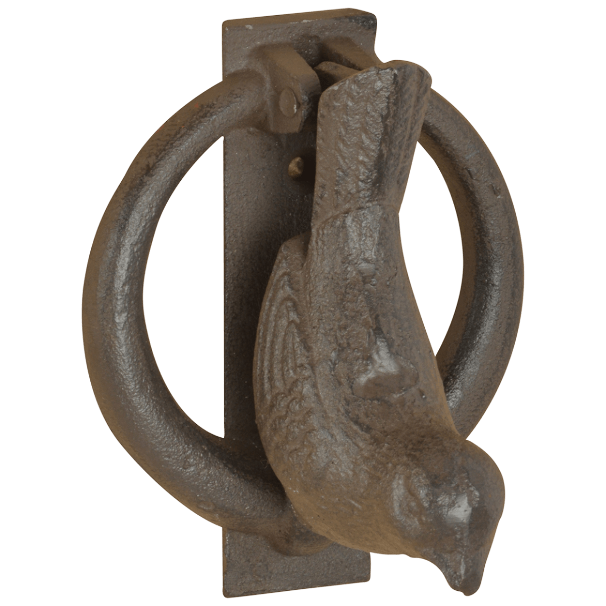 GOLPEA PUERTA PÁJARO1