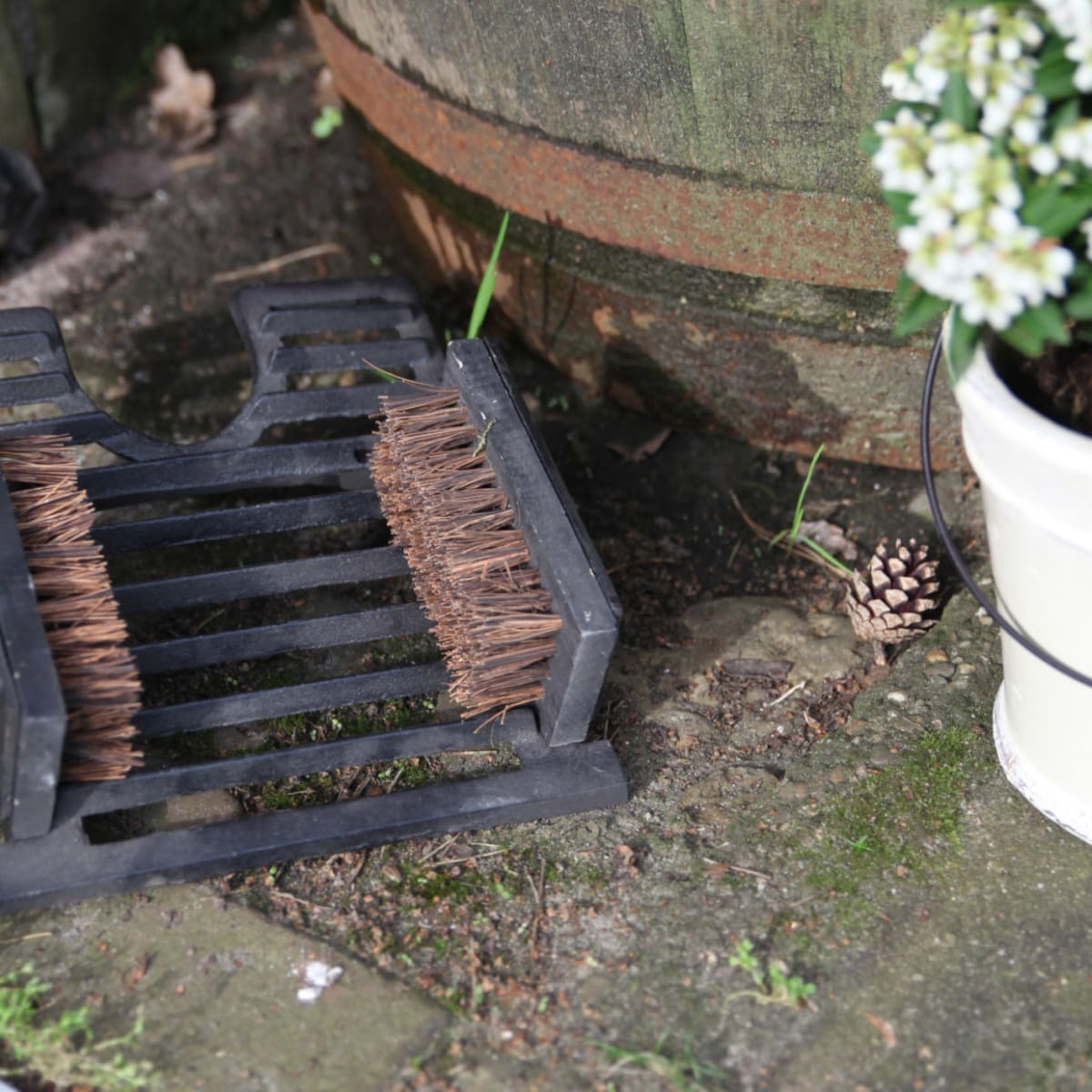 LIMPIA BOTAS ESCOBILLA3