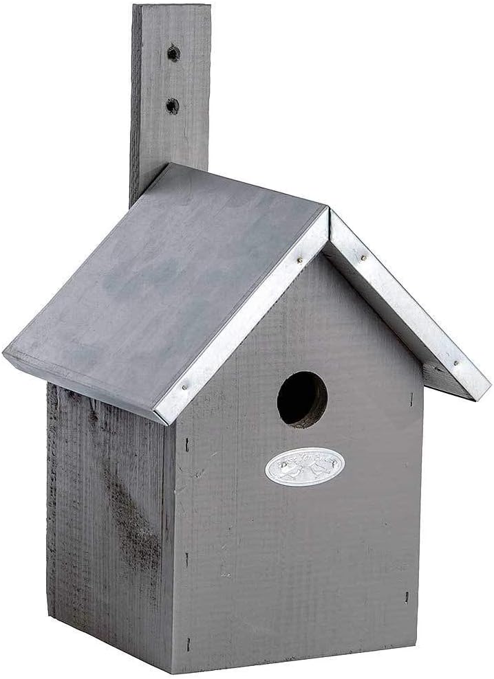 CASA PAJARO GRIS OSCURO1