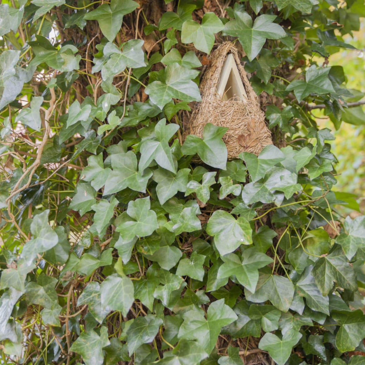 CASA PAJARO TRIANGULAR CAMUFLAJE3