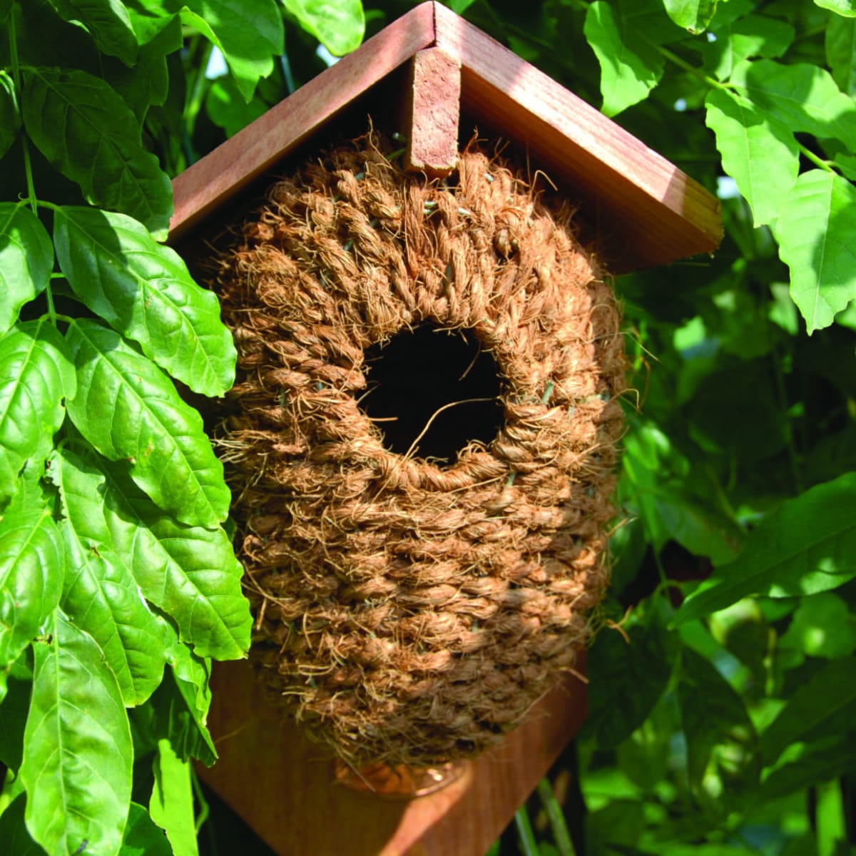 CASA PAJAROS CON TECHO Y RESPALDO3