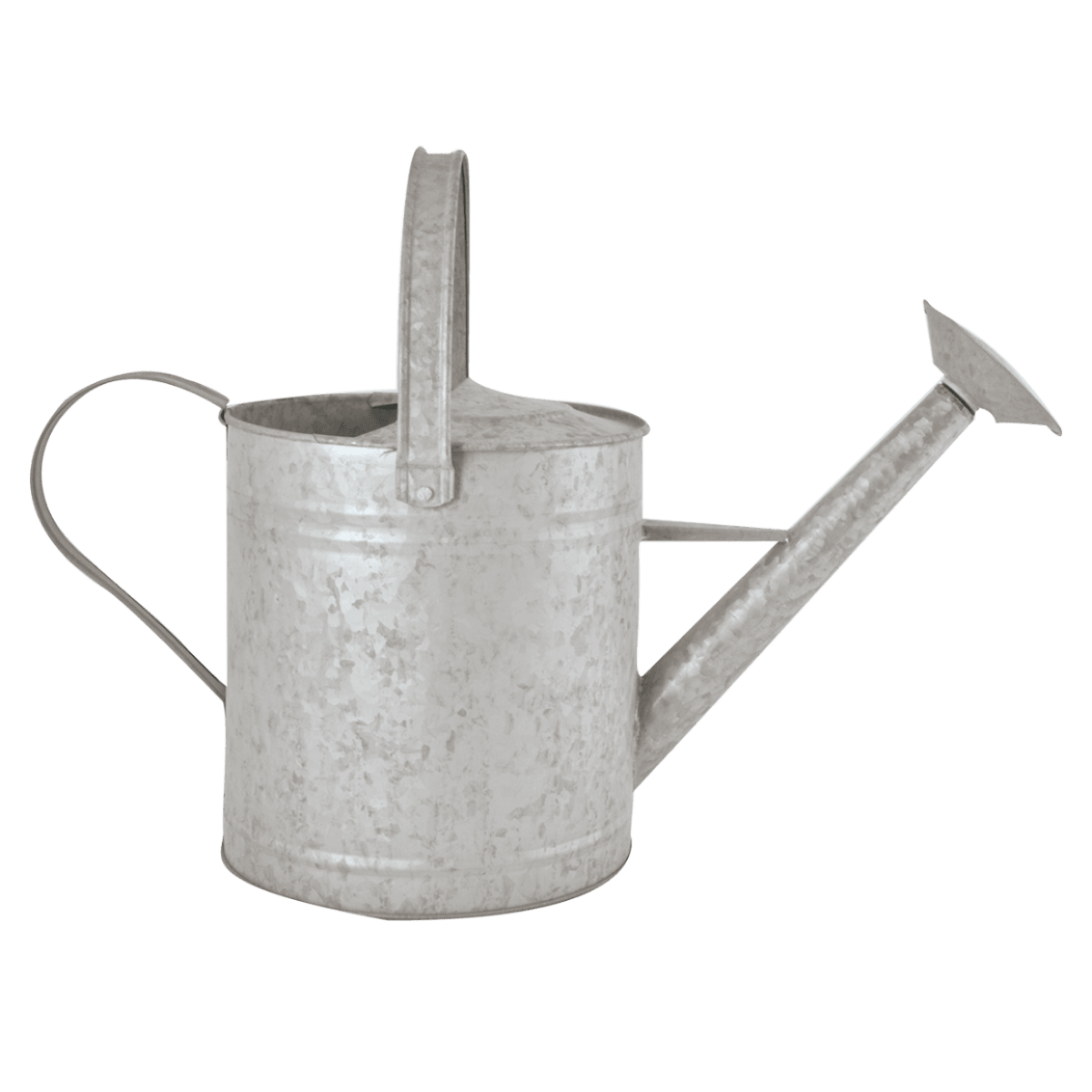 REGADERA ZINC 3,6 LT1