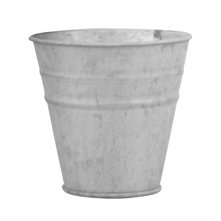 BALDE ZINC1