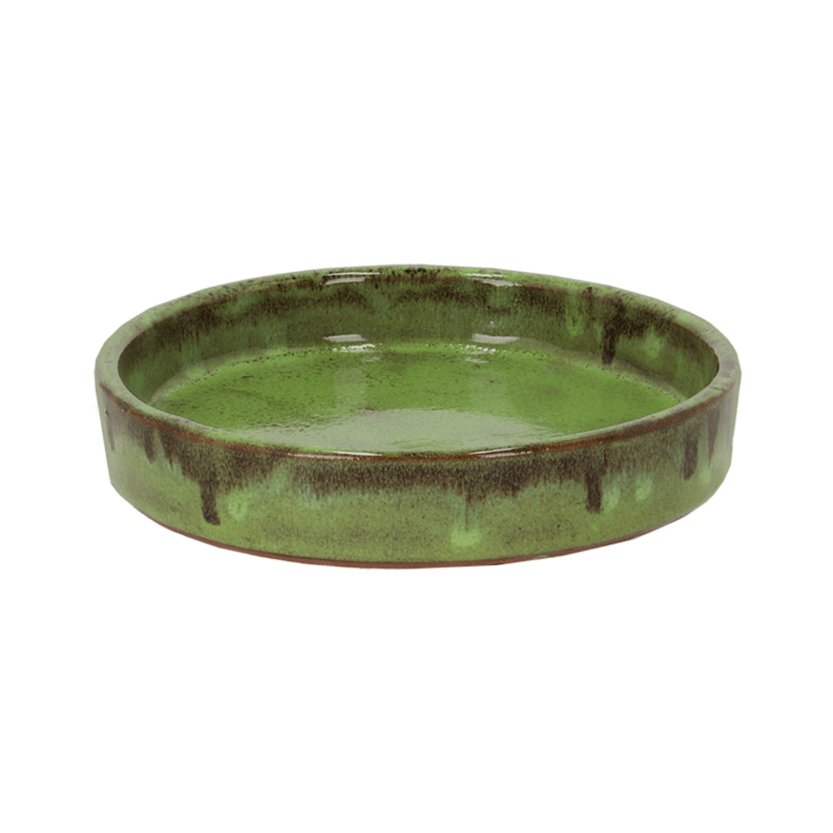 PLATO CERAMICA VERDE2