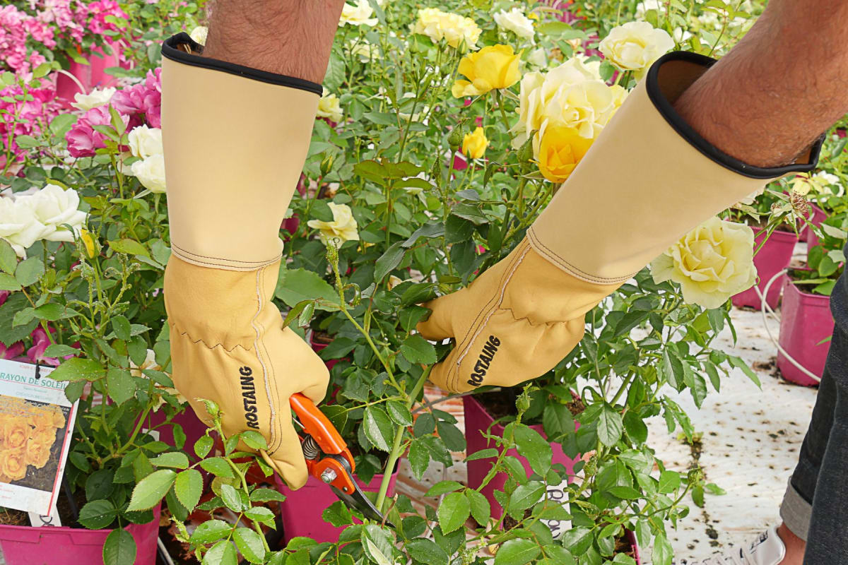 GUANTE ROSAS ROSERAIE ROSTAING2