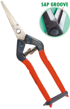 Chikamasa Tijera de raleo Inox CON FUNDA1