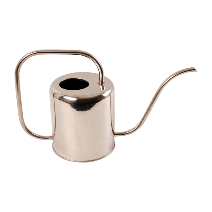 REGADERA PLATA 1,5L1