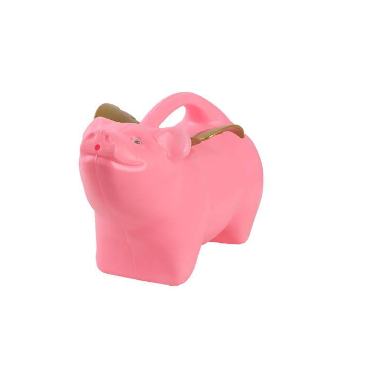 REGADERA CHANCHO VOLADOR NIÑOS1