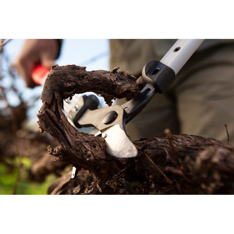 TIJERON DE PODA FELCO 201/401