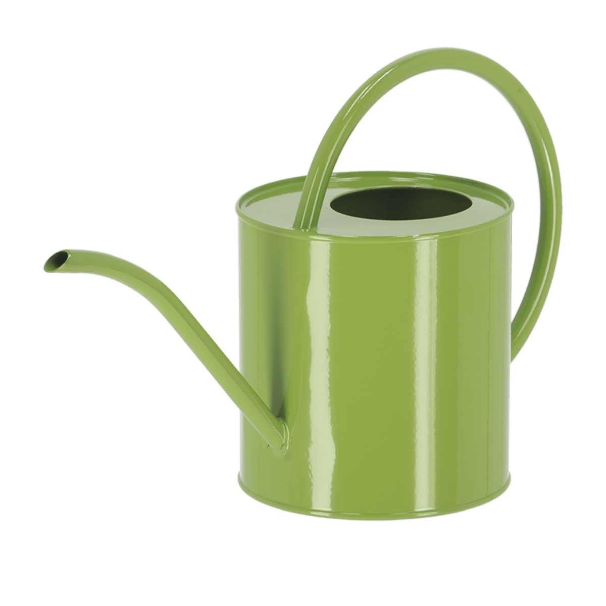 REGADERA COLORES VIVIDOS2