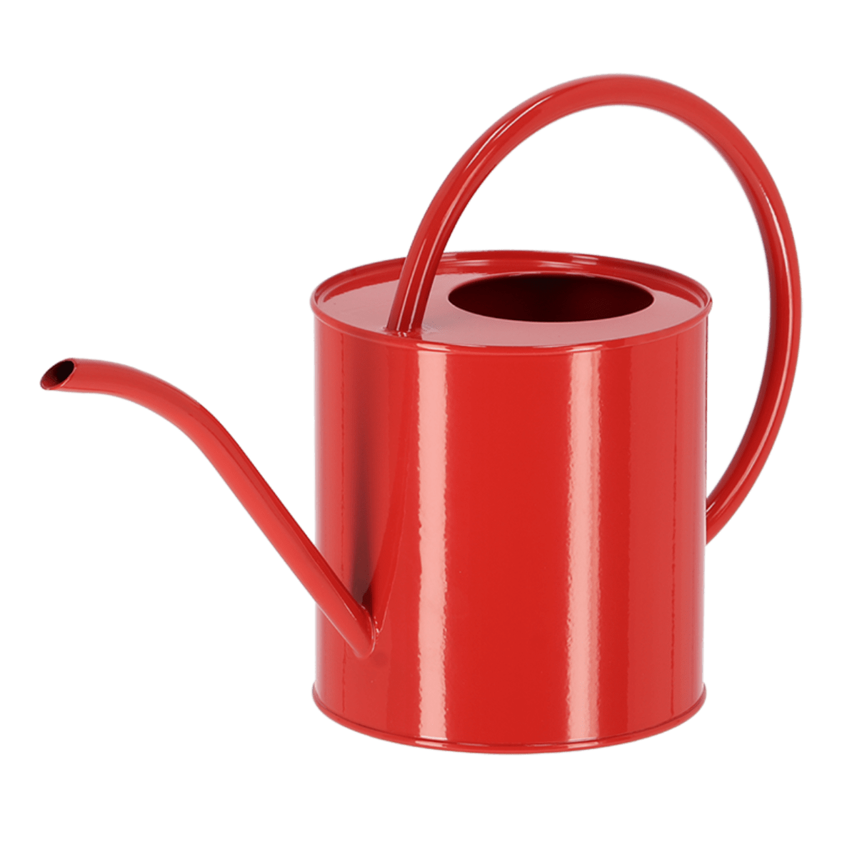 REGADERA COLORES VIVIDOS3