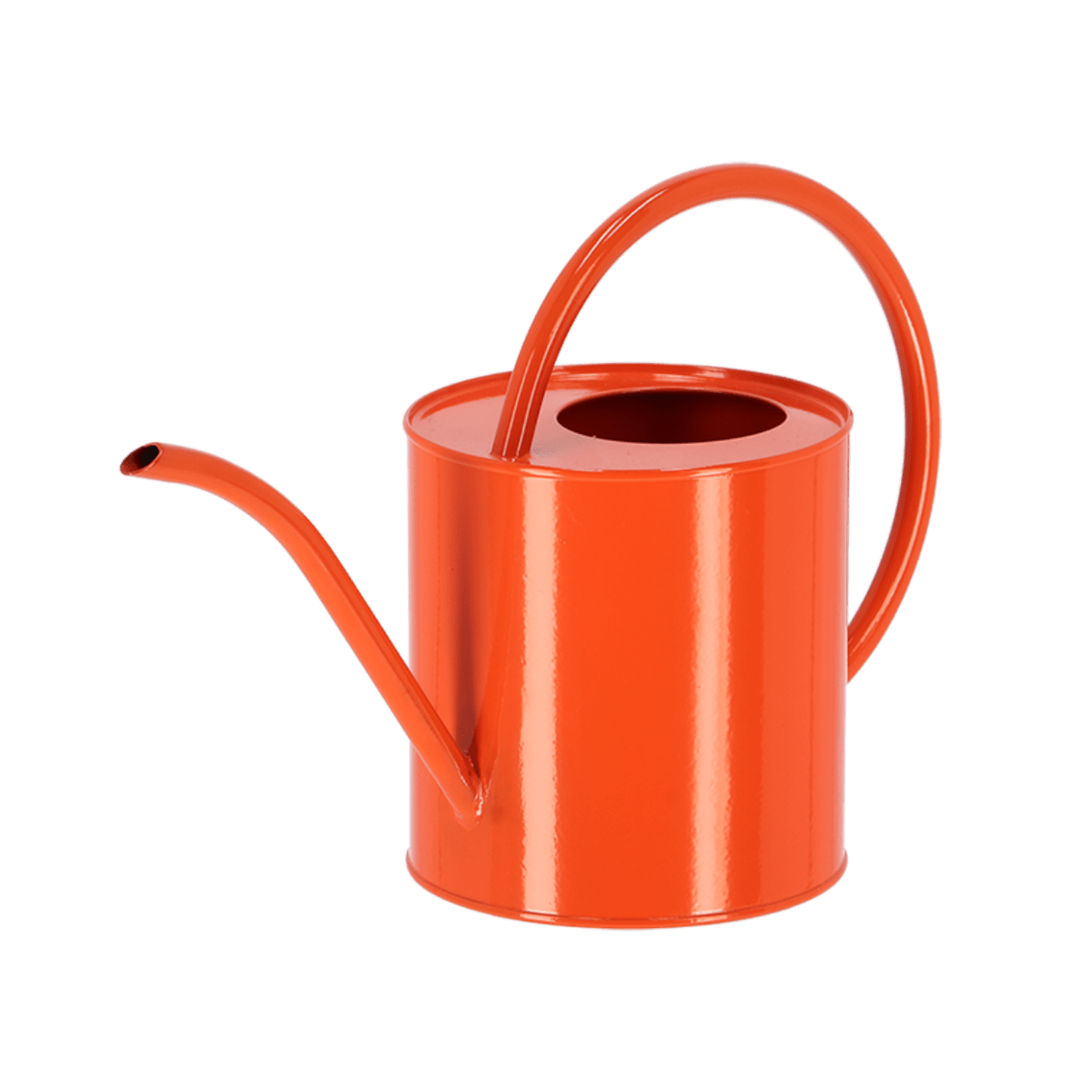 REGADERA COLORES VIVIDOS4