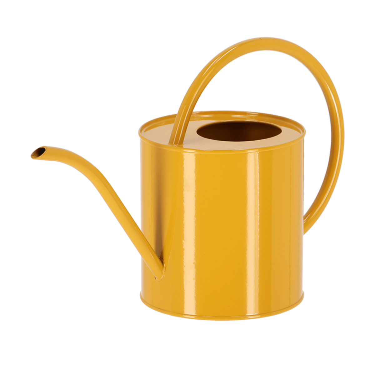 REGADERA COLORES VIVIDOS5