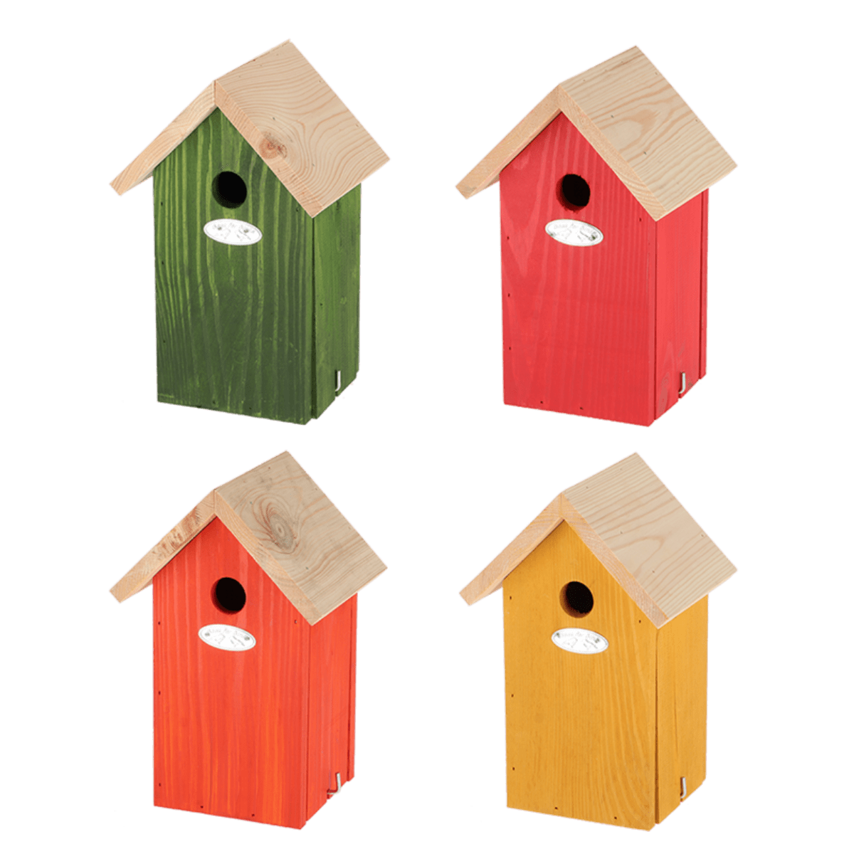 CASA DE PAJAROS COLORES VIVIDO1