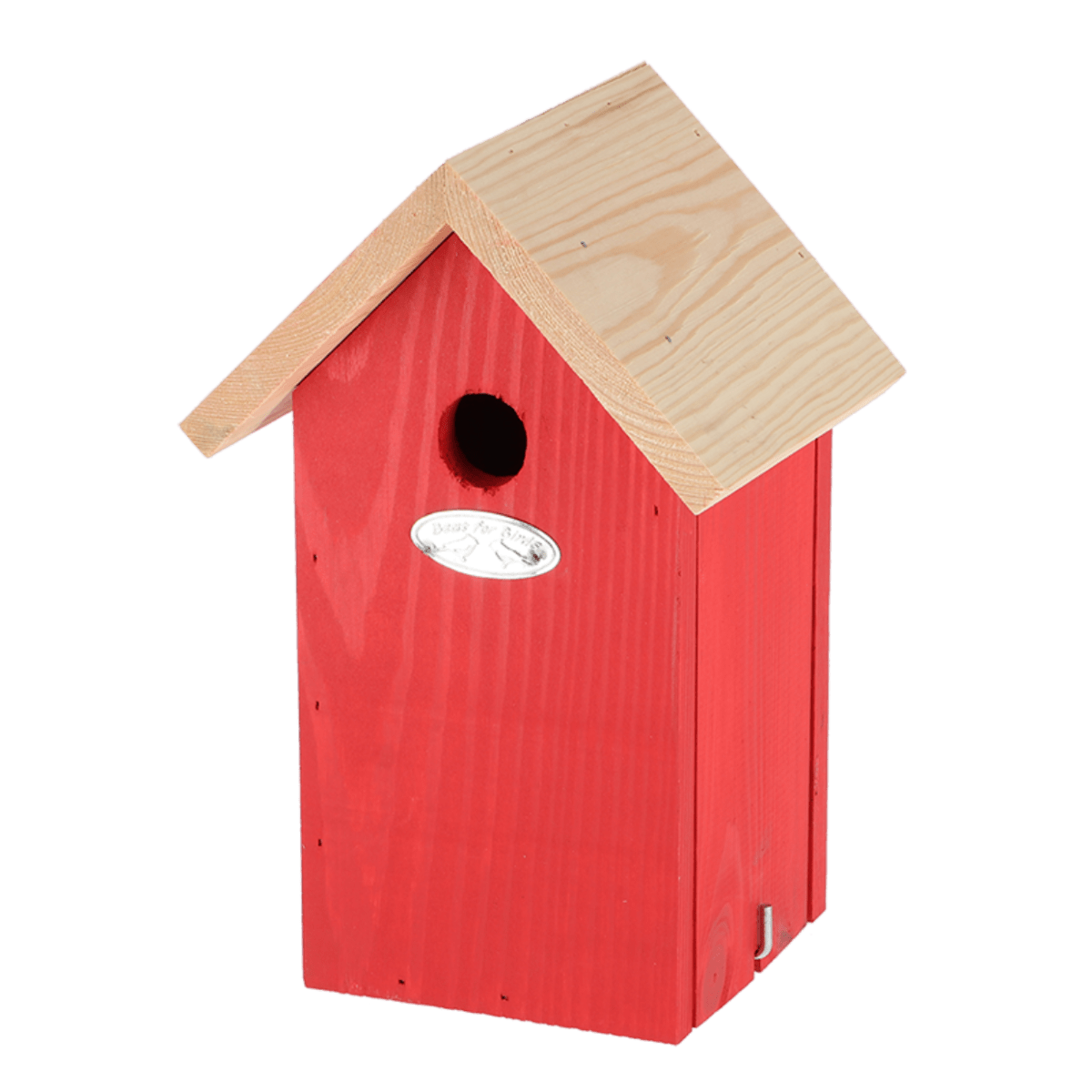 CASA DE PAJAROS COLORES VIVIDO3