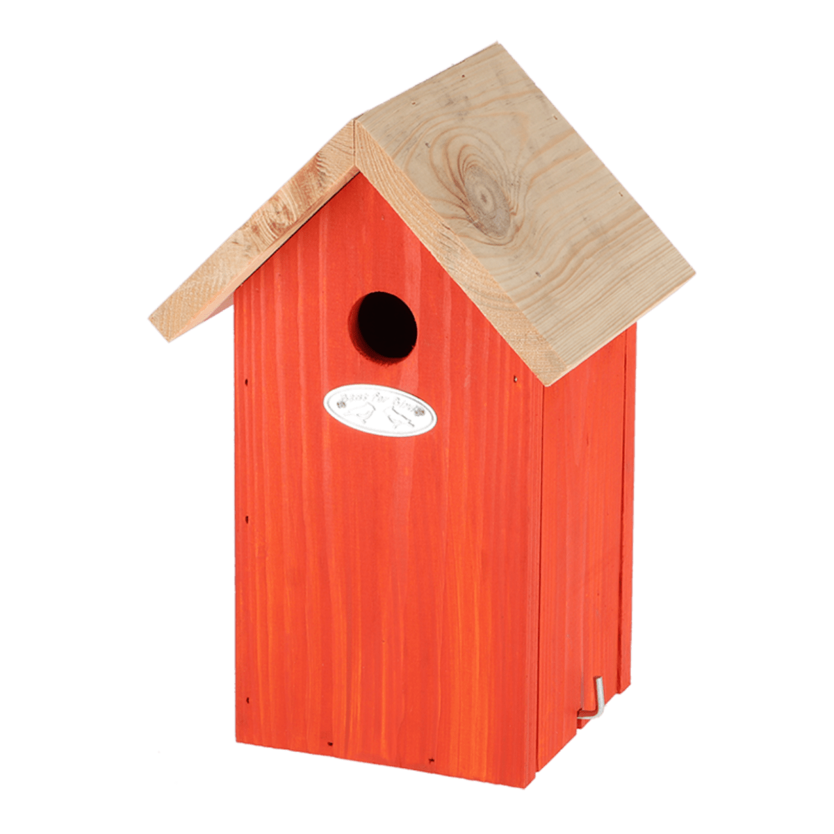 CASA DE PAJAROS COLORES VIVIDO4