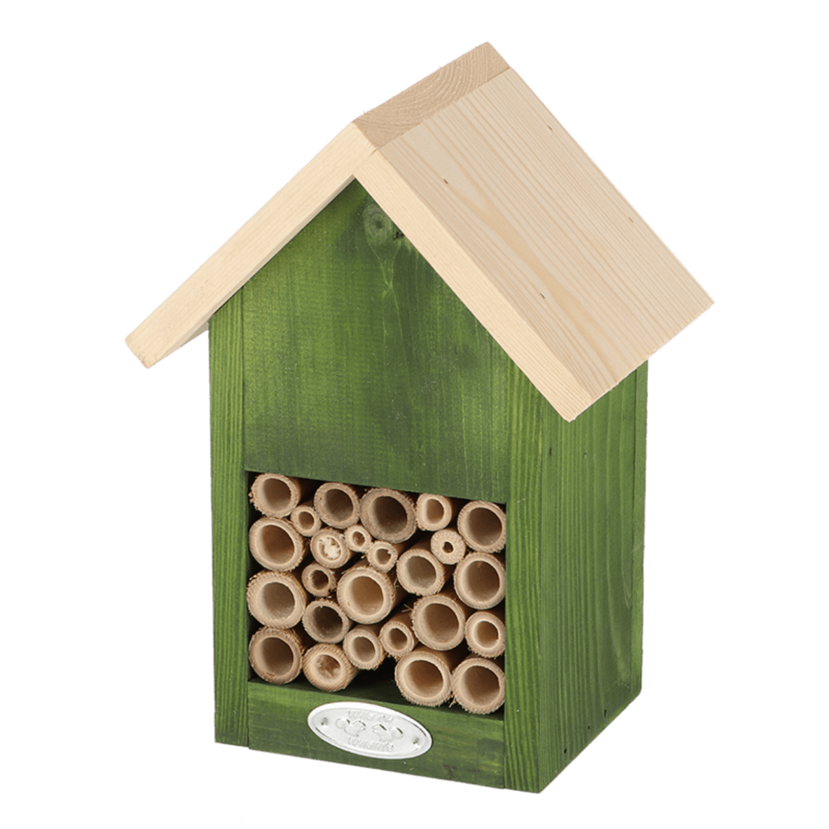 CASA ABEJA COLORES VIVIDOS2