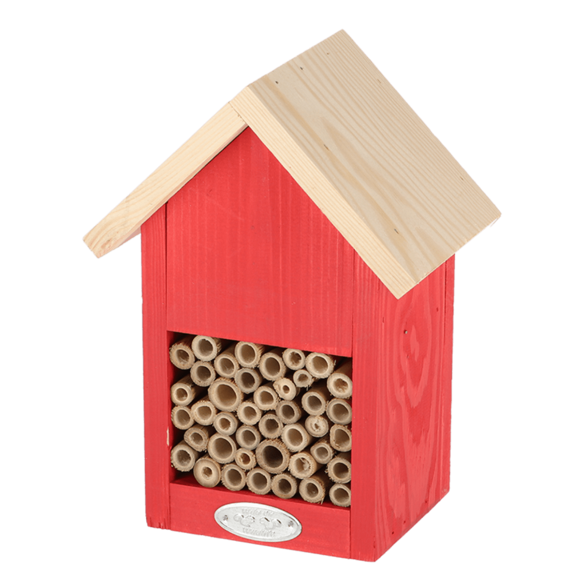 CASA ABEJA COLORES VIVIDOS3