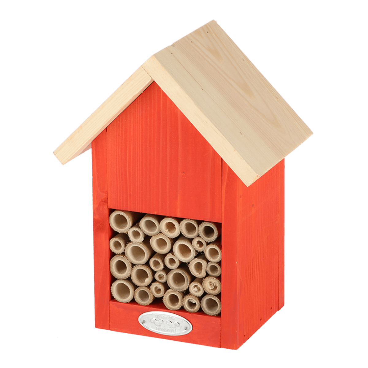 CASA ABEJA COLORES VIVIDOS4