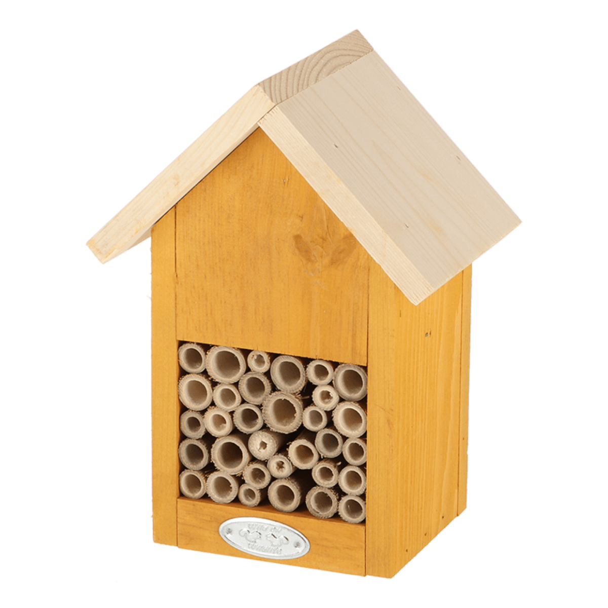 CASA ABEJA COLORES VIVIDOS5