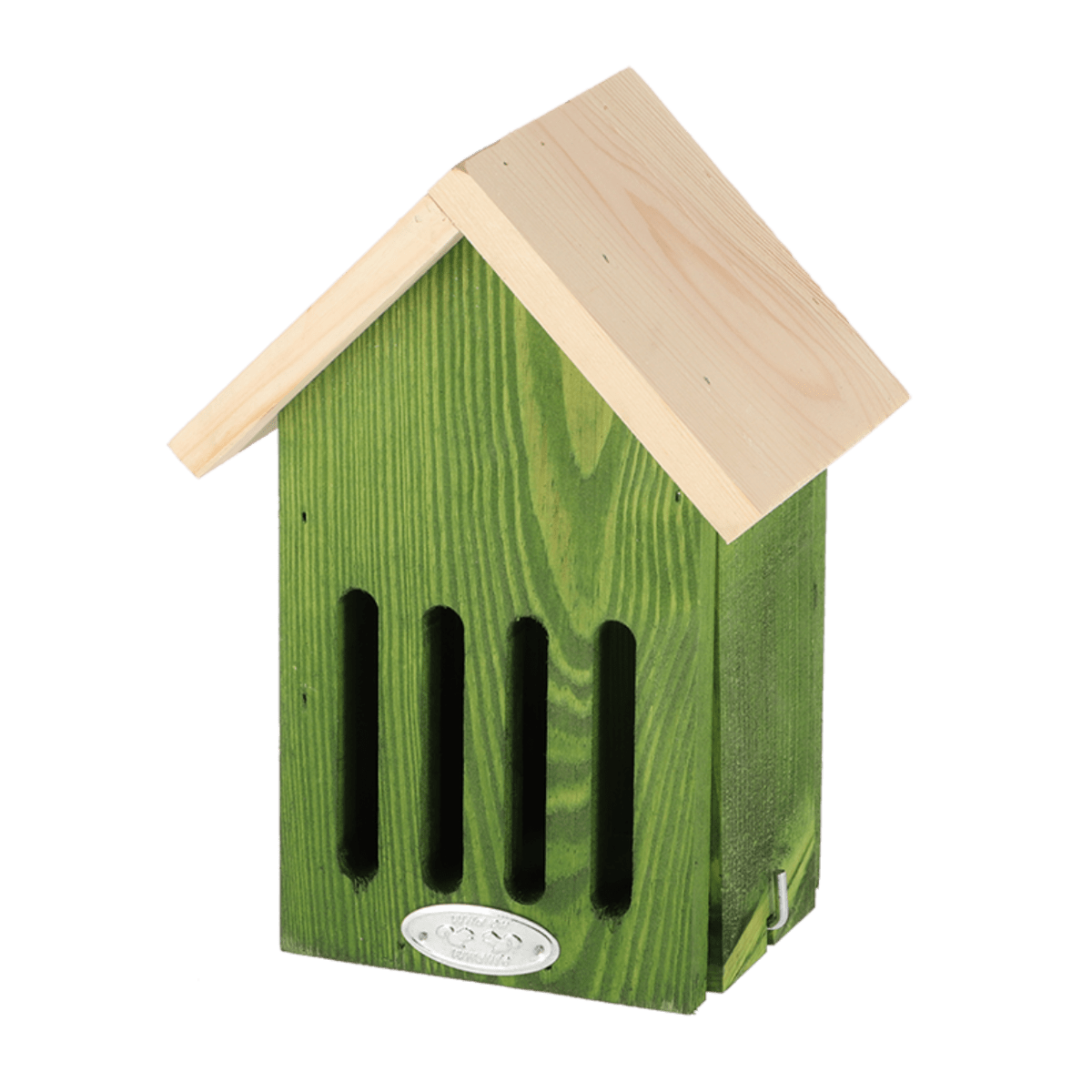 CASA MARIPOSA COLORES VIVIDOS1