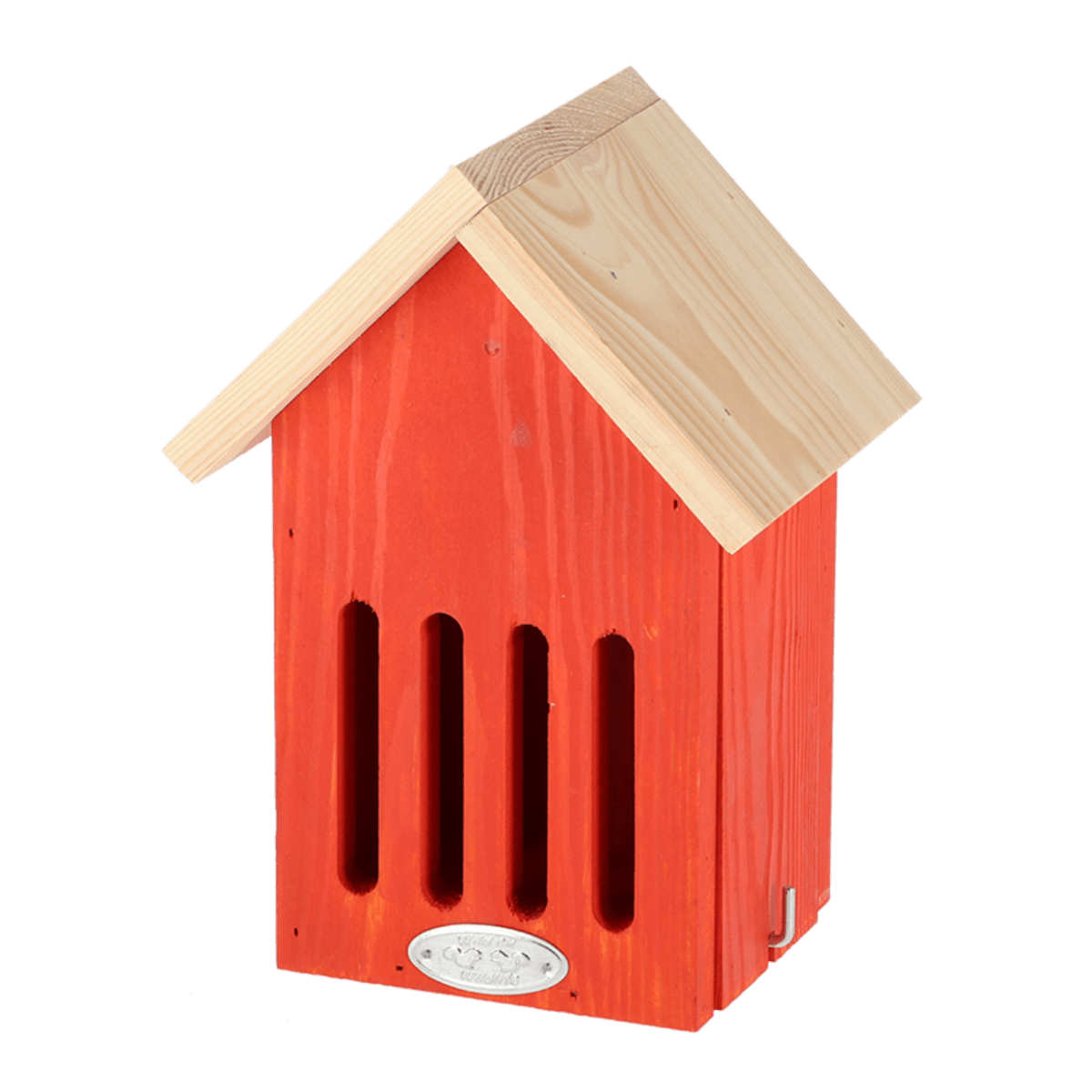 CASA MARIPOSA COLORES VIVIDOS3