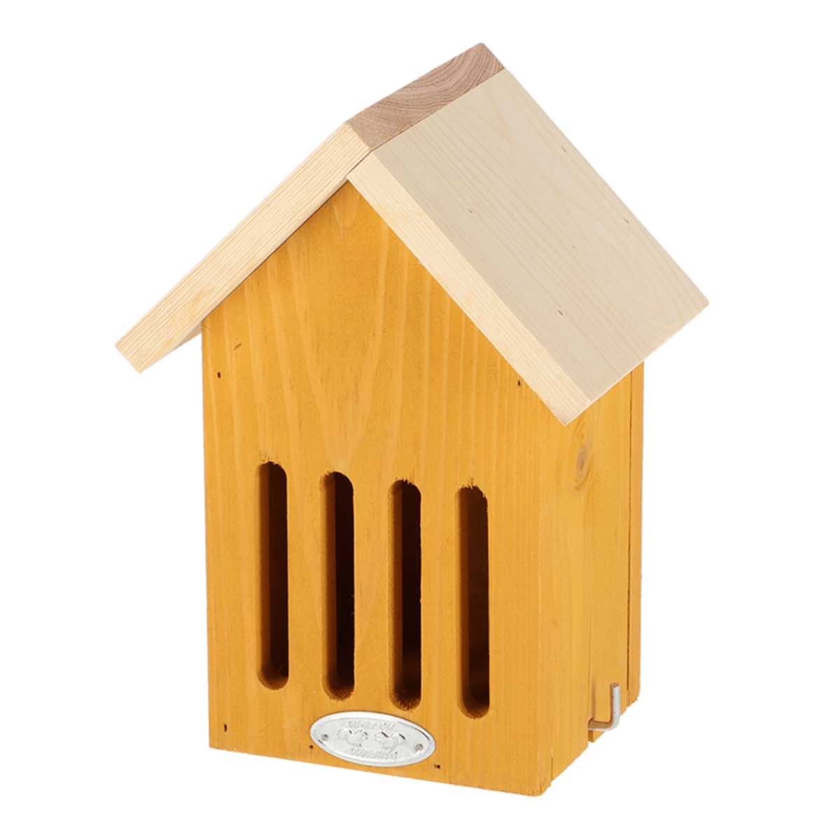 CASA MARIPOSA COLORES VIVIDOS4