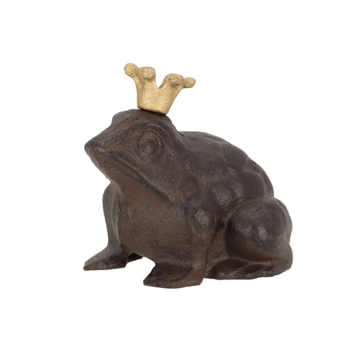 RANA FIERRO CORONA S1