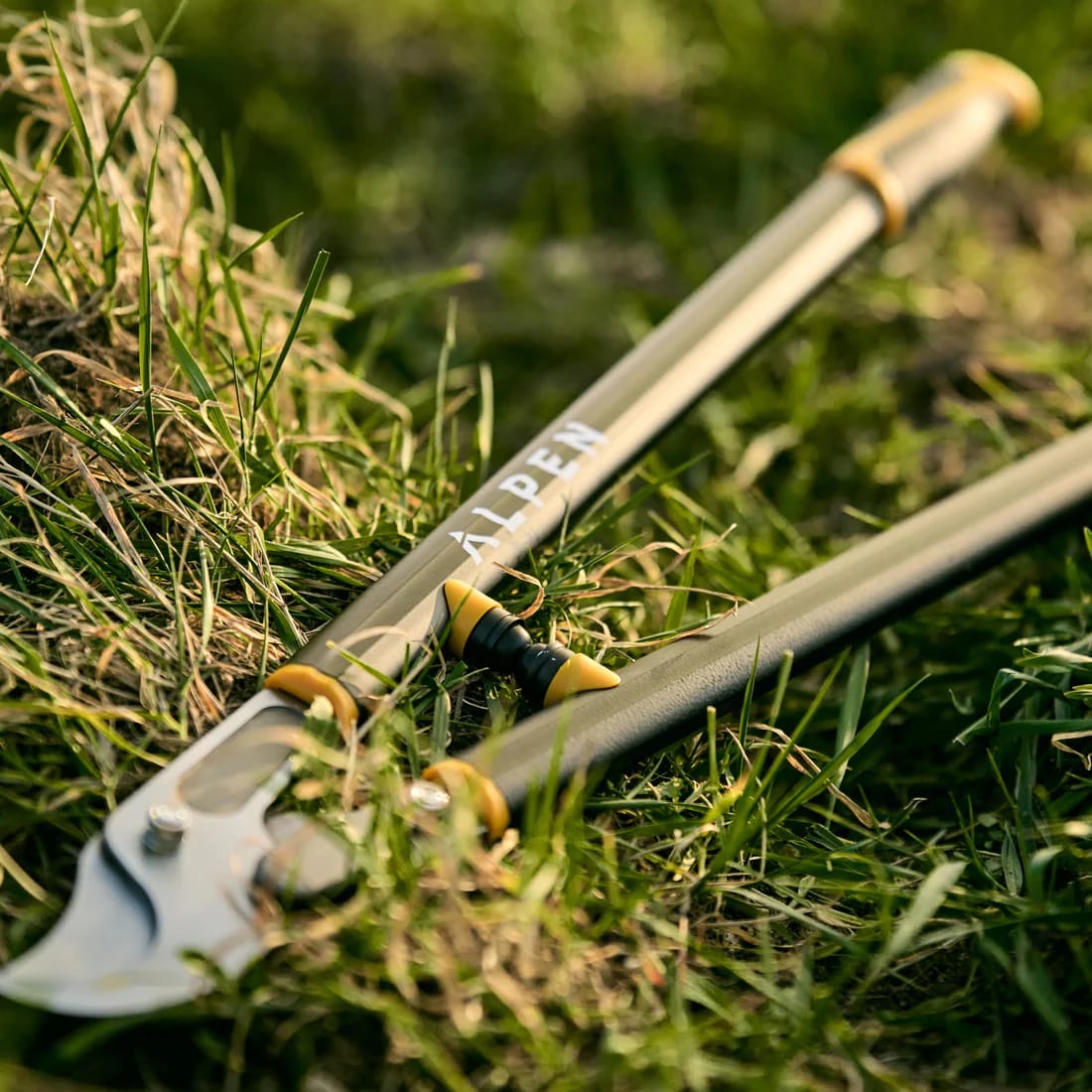 Tijerón de poda 80 cm Alpen3