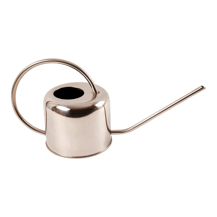 REGADERA PLATA 1L