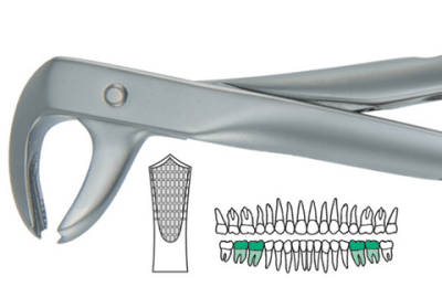 Forcep Curvo sobre el Borde para extracción molares inferiores