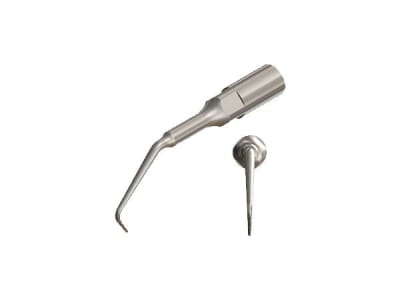 apical root debridement